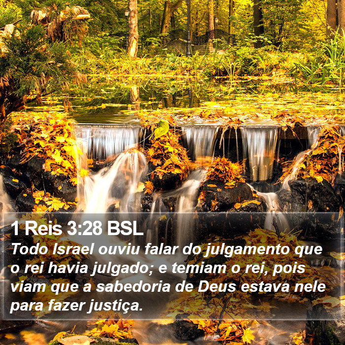 1 Reis 3:28 BSL Bible Study