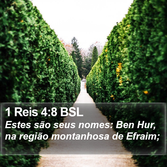 1 Reis 4:8 BSL Bible Study