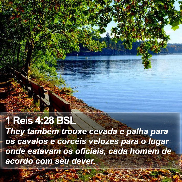 1 Reis 4:28 BSL Bible Study