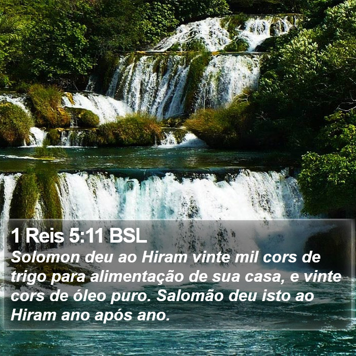 1 Reis 5:11 BSL Bible Study