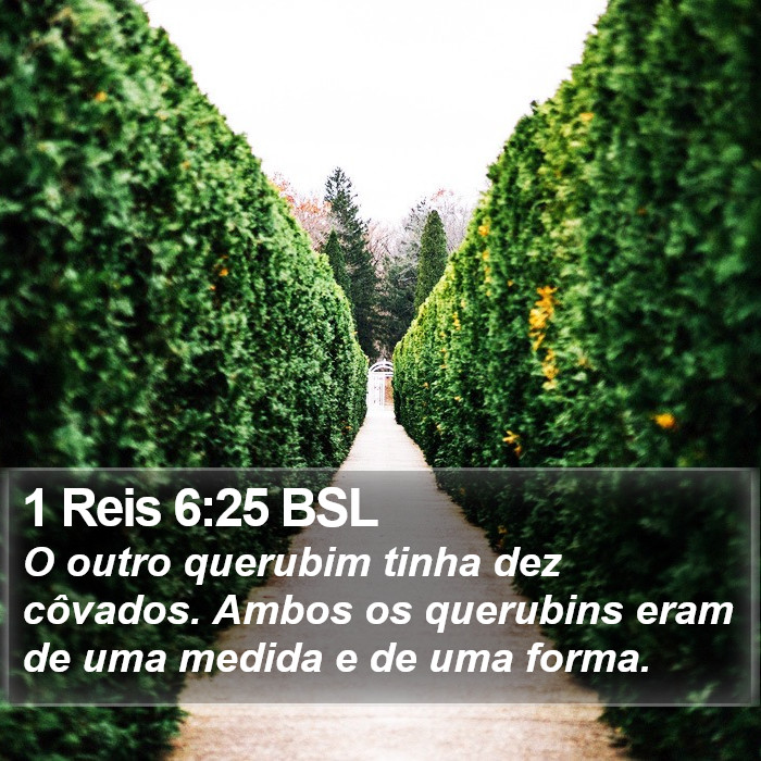 1 Reis 6:25 BSL Bible Study