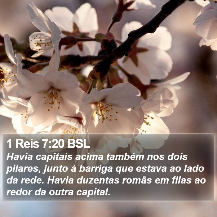 1 Reis 7:20 BSL Bible Study