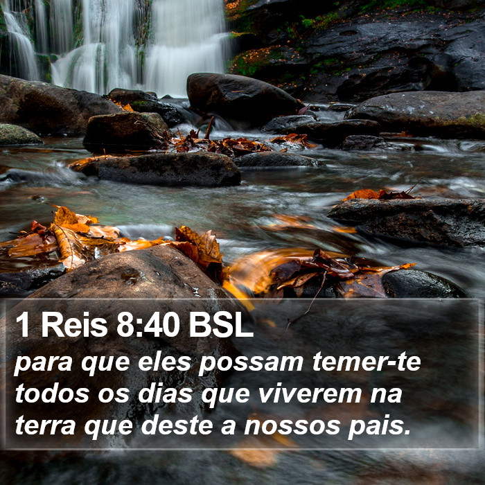 1 Reis 8:40 BSL Bible Study