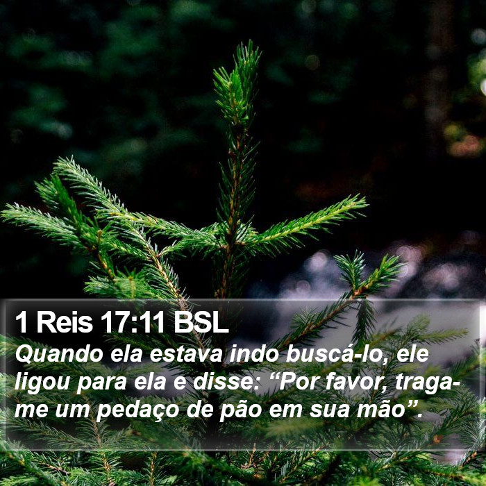 1 Reis 17:11 BSL Bible Study