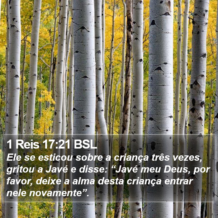 1 Reis 17:21 BSL Bible Study