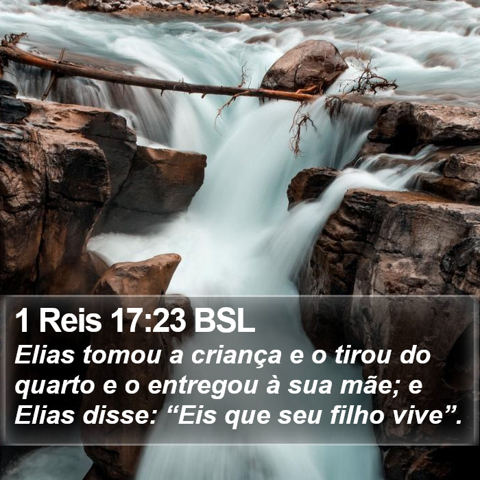 1 Reis 17:23 BSL Bible Study