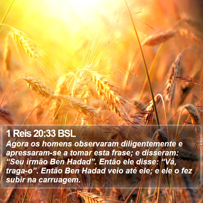 1 Reis 20:33 BSL Bible Study