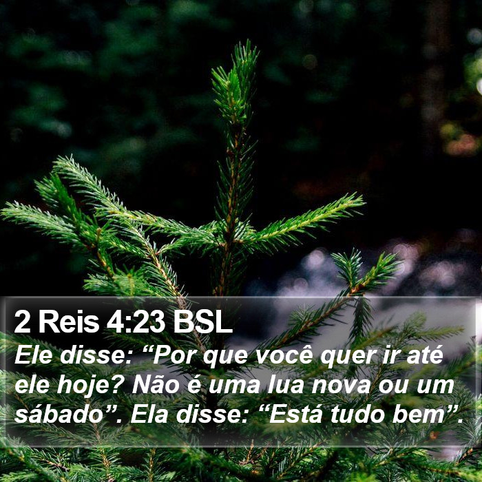 2 Reis 4:23 BSL Bible Study