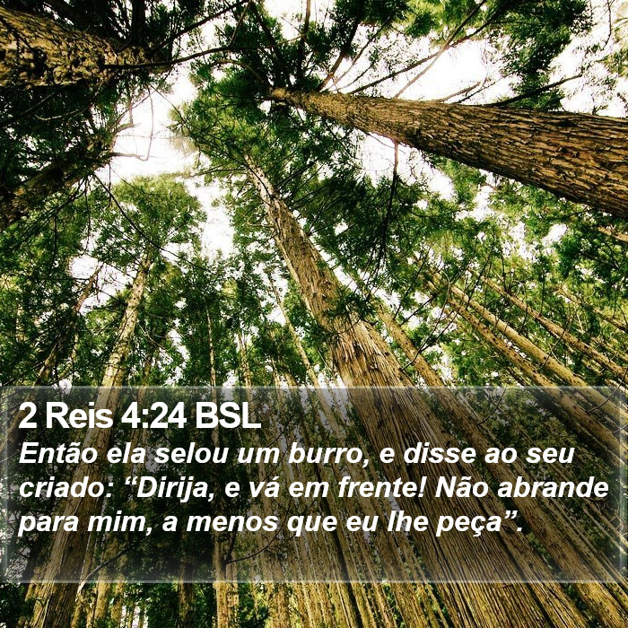 2 Reis 4:24 BSL Bible Study