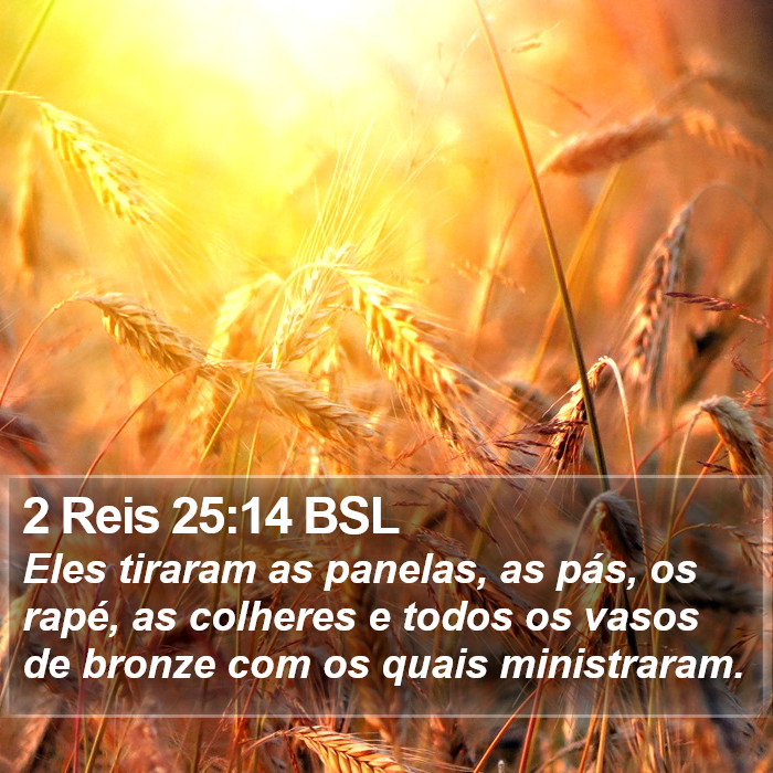 2 Reis 25:14 BSL Bible Study