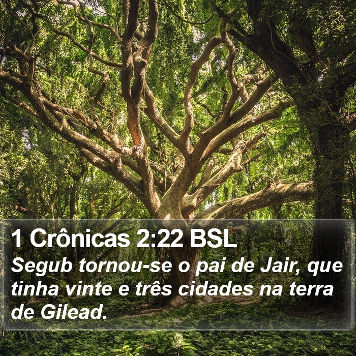 1 Crônicas 2:22 BSL Bible Study