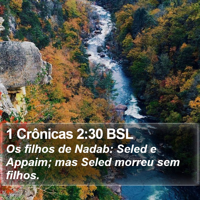 1 Crônicas 2:30 BSL Bible Study