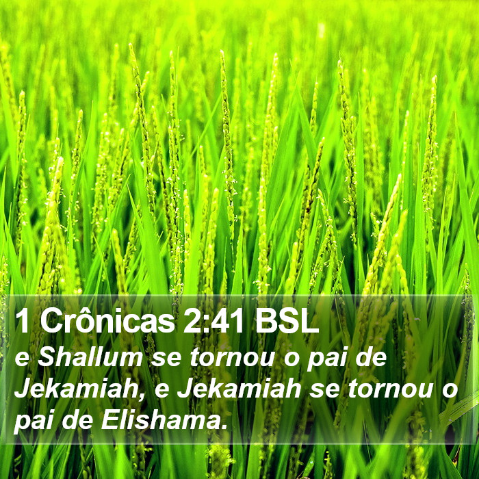 1 Crônicas 2:41 BSL Bible Study