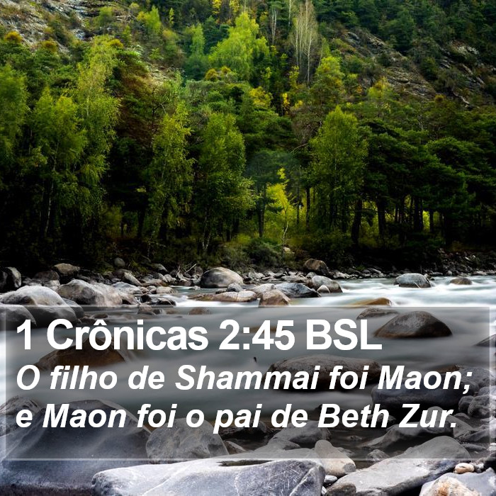 1 Crônicas 2:45 BSL Bible Study