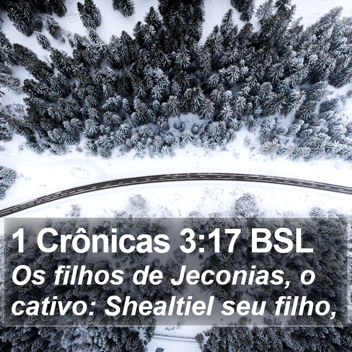 1 Crônicas 3:17 BSL Bible Study
