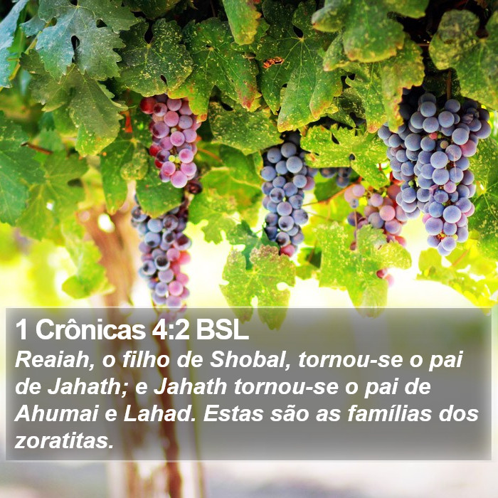 1 Crônicas 4:2 BSL Bible Study