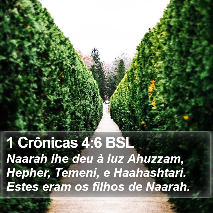 1 Crônicas 4:6 BSL Bible Study