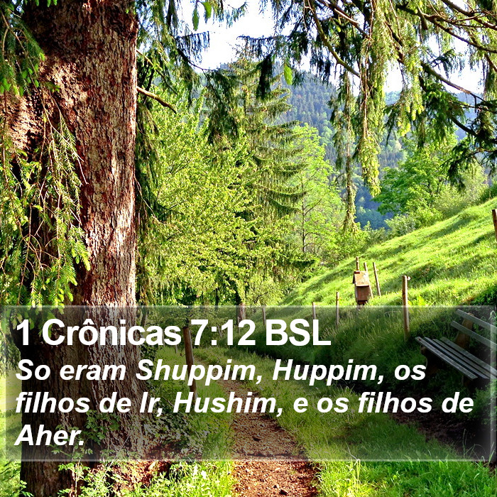 1 Crônicas 7:12 BSL Bible Study