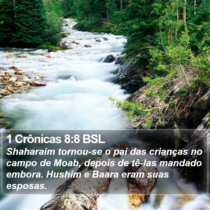 1 Crônicas 8:8 BSL Bible Study