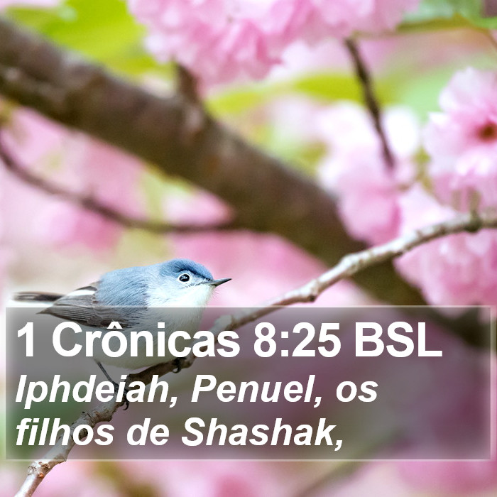 1 Crônicas 8:25 BSL Bible Study