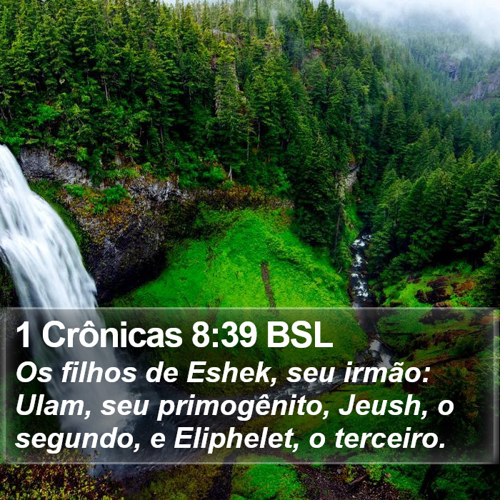 1 Crônicas 8:39 BSL Bible Study