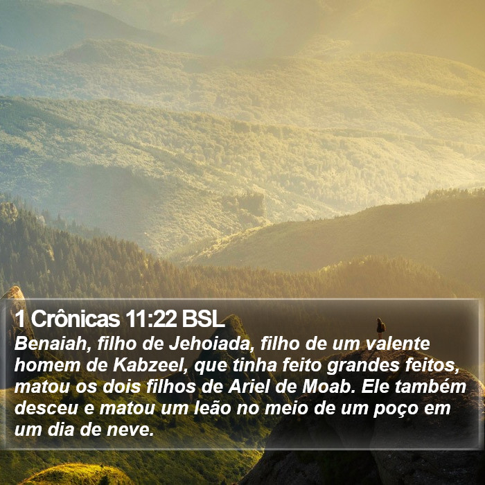 1 Crônicas 11:22 BSL Bible Study