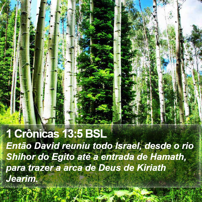 1 Crônicas 13:5 BSL Bible Study