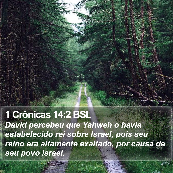 1 Crônicas 14:2 BSL Bible Study