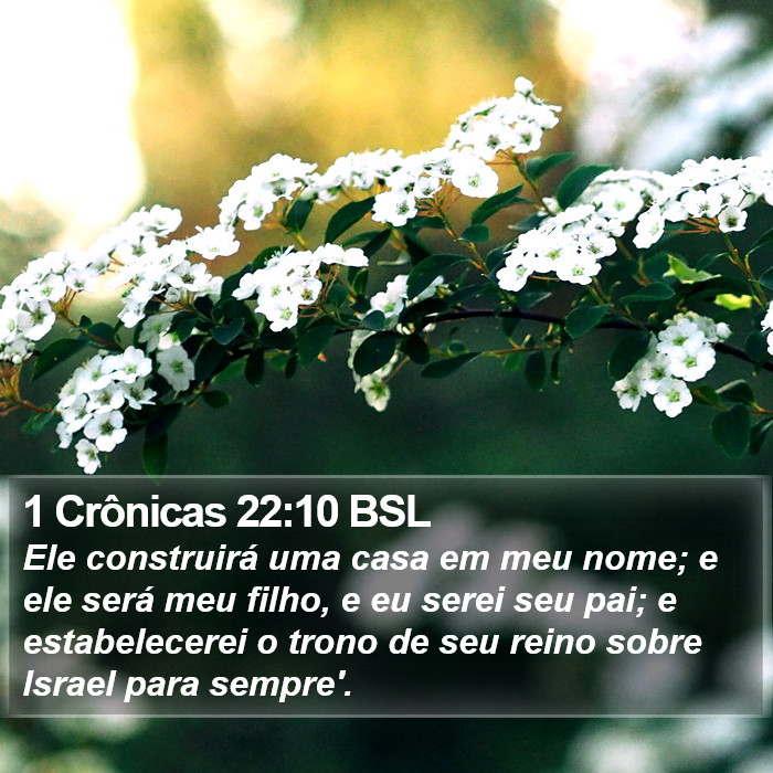 1 Crônicas 22:10 BSL Bible Study