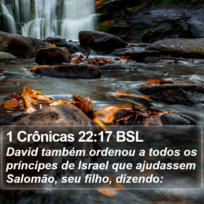 1 Crônicas 22:17 BSL Bible Study