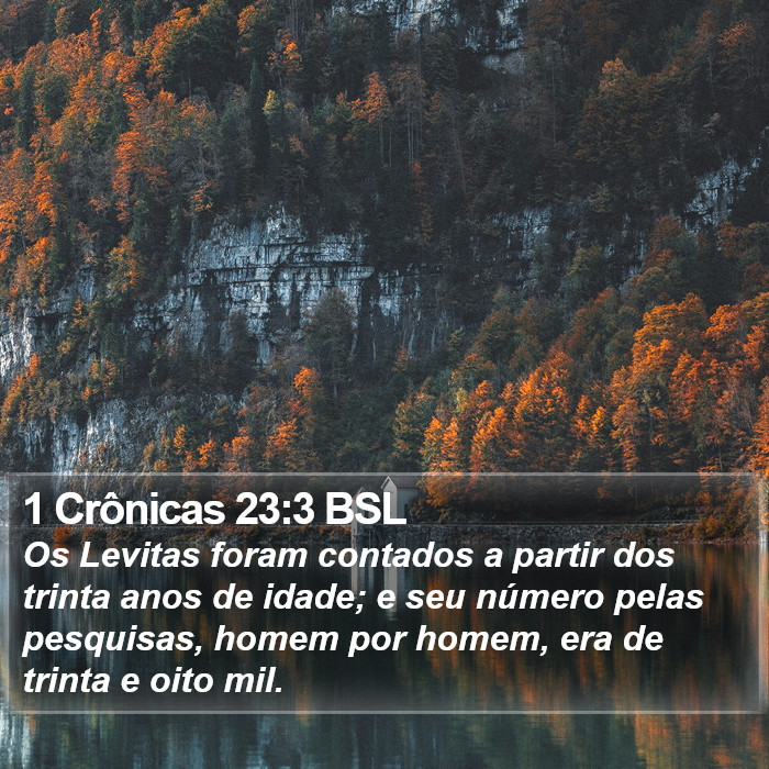 1 Crônicas 23:3 BSL Bible Study