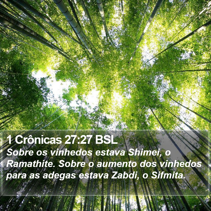 1 Crônicas 27:27 BSL Bible Study