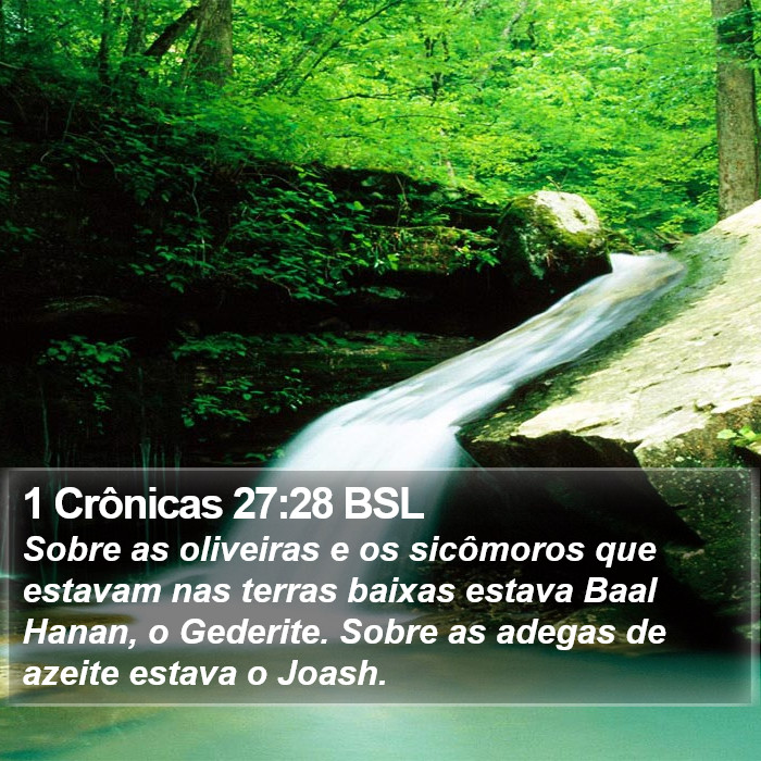 1 Crônicas 27:28 BSL Bible Study