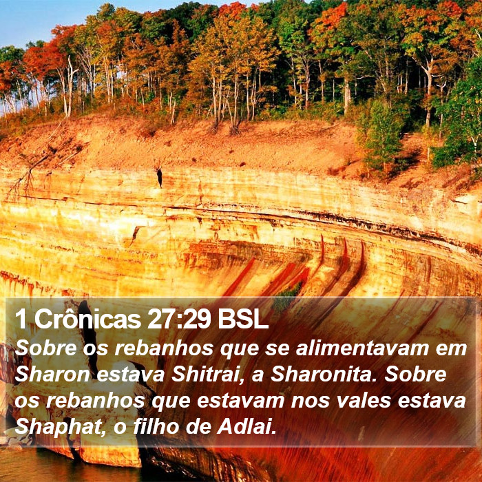 1 Crônicas 27:29 BSL Bible Study