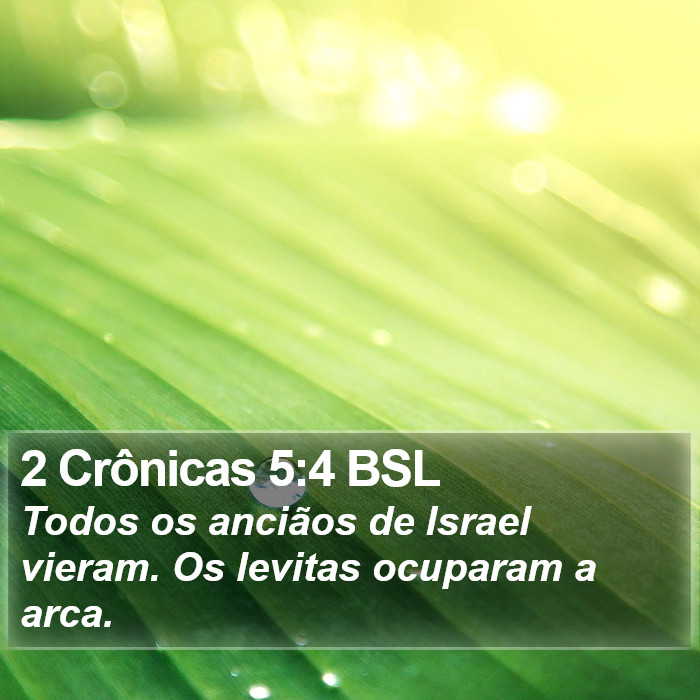 2 Crônicas 5:4 BSL Bible Study