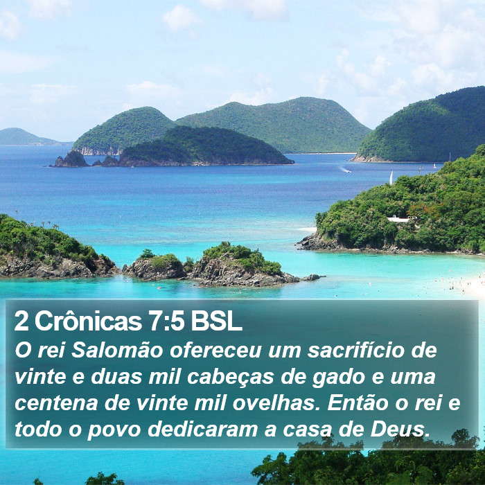 2 Crônicas 7:5 BSL Bible Study