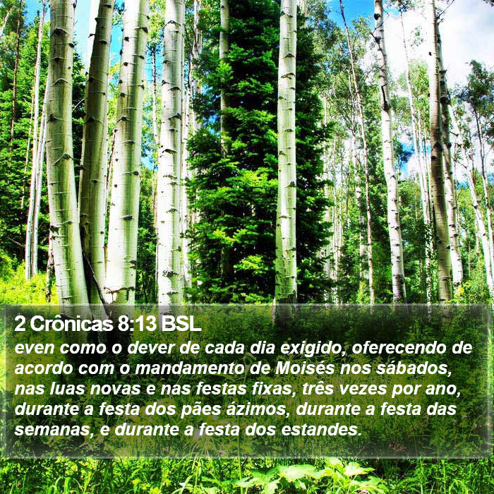 2 Crônicas 8:13 BSL Bible Study
