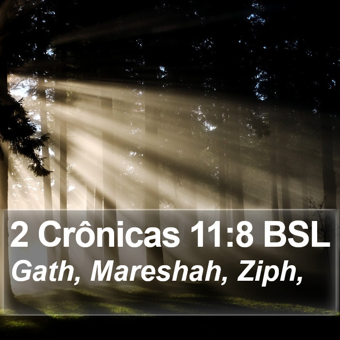 2 Crônicas 11:8 BSL Bible Study