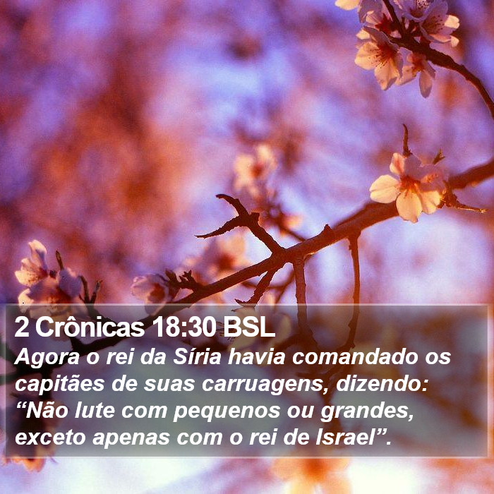 2 Crônicas 18:30 BSL Bible Study