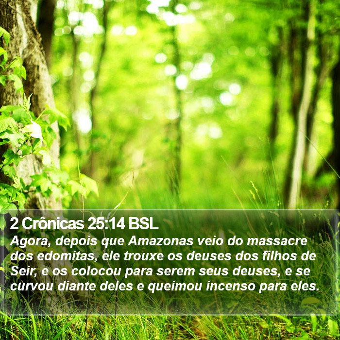 2 Crônicas 25:14 BSL Bible Study