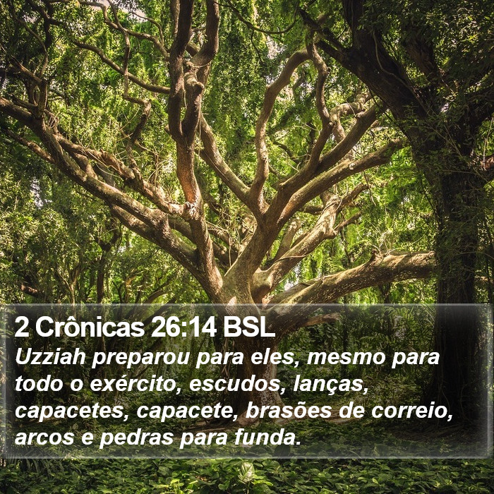 2 Crônicas 26:14 BSL Bible Study