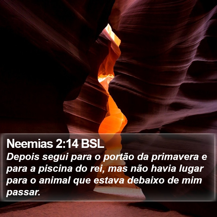 Neemias 2:14 BSL Bible Study