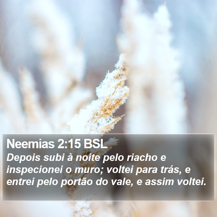 Neemias 2:15 BSL Bible Study