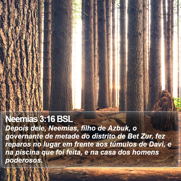 Neemias 3:16 BSL Bible Study