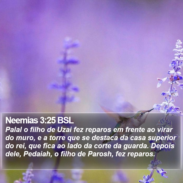Neemias 3:25 BSL Bible Study