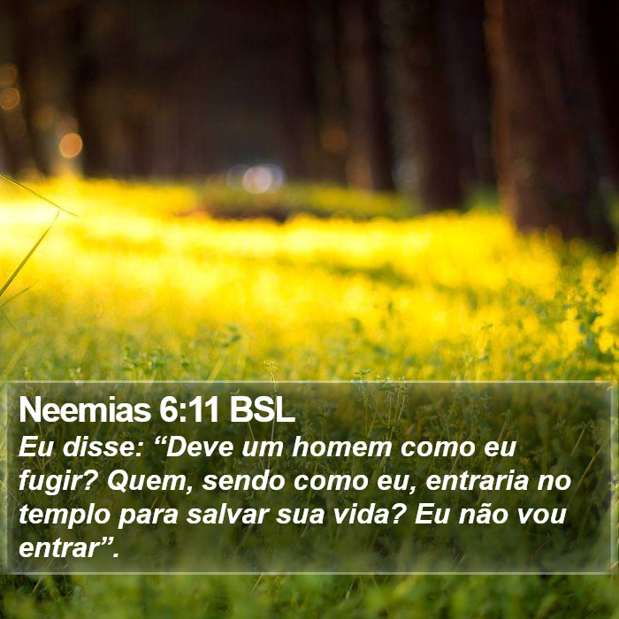 Neemias 6:11 BSL Bible Study