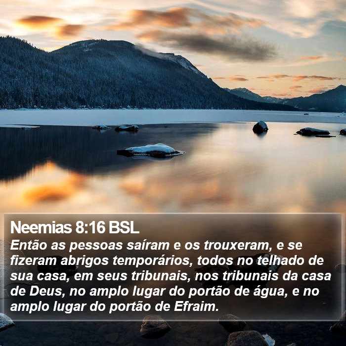 Neemias 8:16 BSL Bible Study