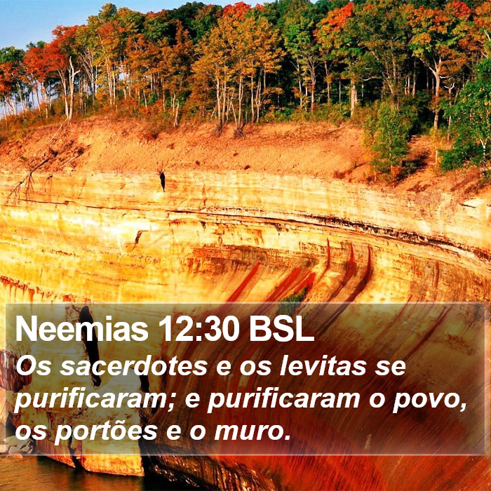 Neemias 12:30 BSL Bible Study