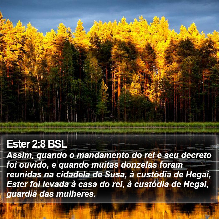 Ester 2:8 BSL Bible Study