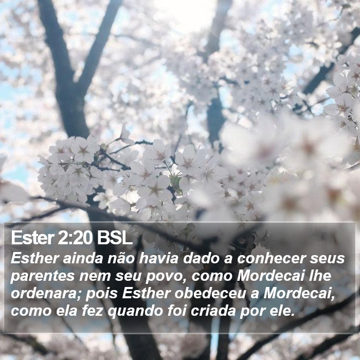 Ester 2:20 BSL Bible Study